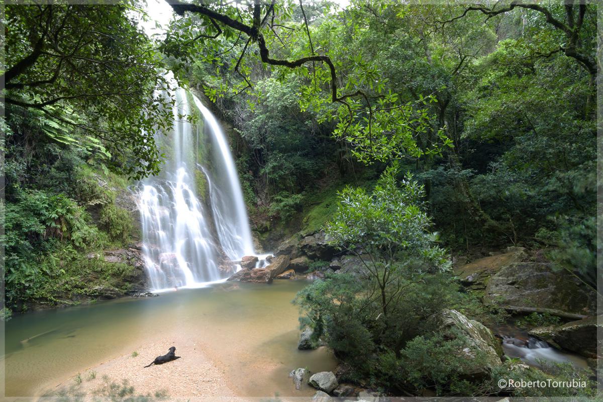 Cachoeira do Ouro, Delfinópolis MG