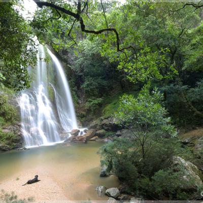 Cachoeira do Ouro, Vale da Gurita, Delfinópolis MG - Serra da Canastra